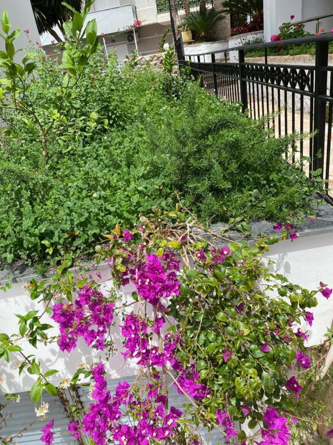 Apartamente Berti`s Garden Sarande Bagian luar foto